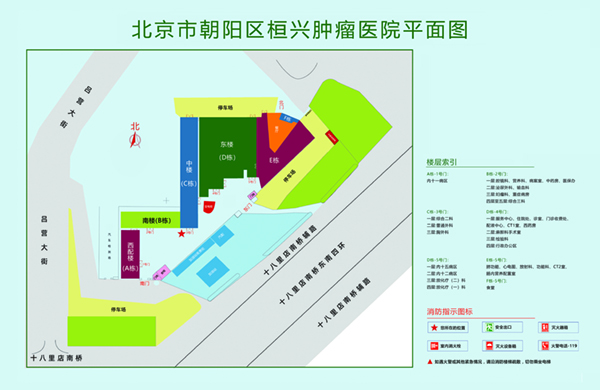 黑丝入肉中出艹比北京市朝阳区桓兴肿瘤医院平面图